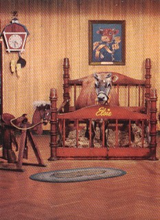 Featured is a partial postcard image of Borden's famous and beloved Elsie the Cow and her boy Beauregard in Elsie's Barn Boudoir. The original card is for sale in The unltd.com Store.